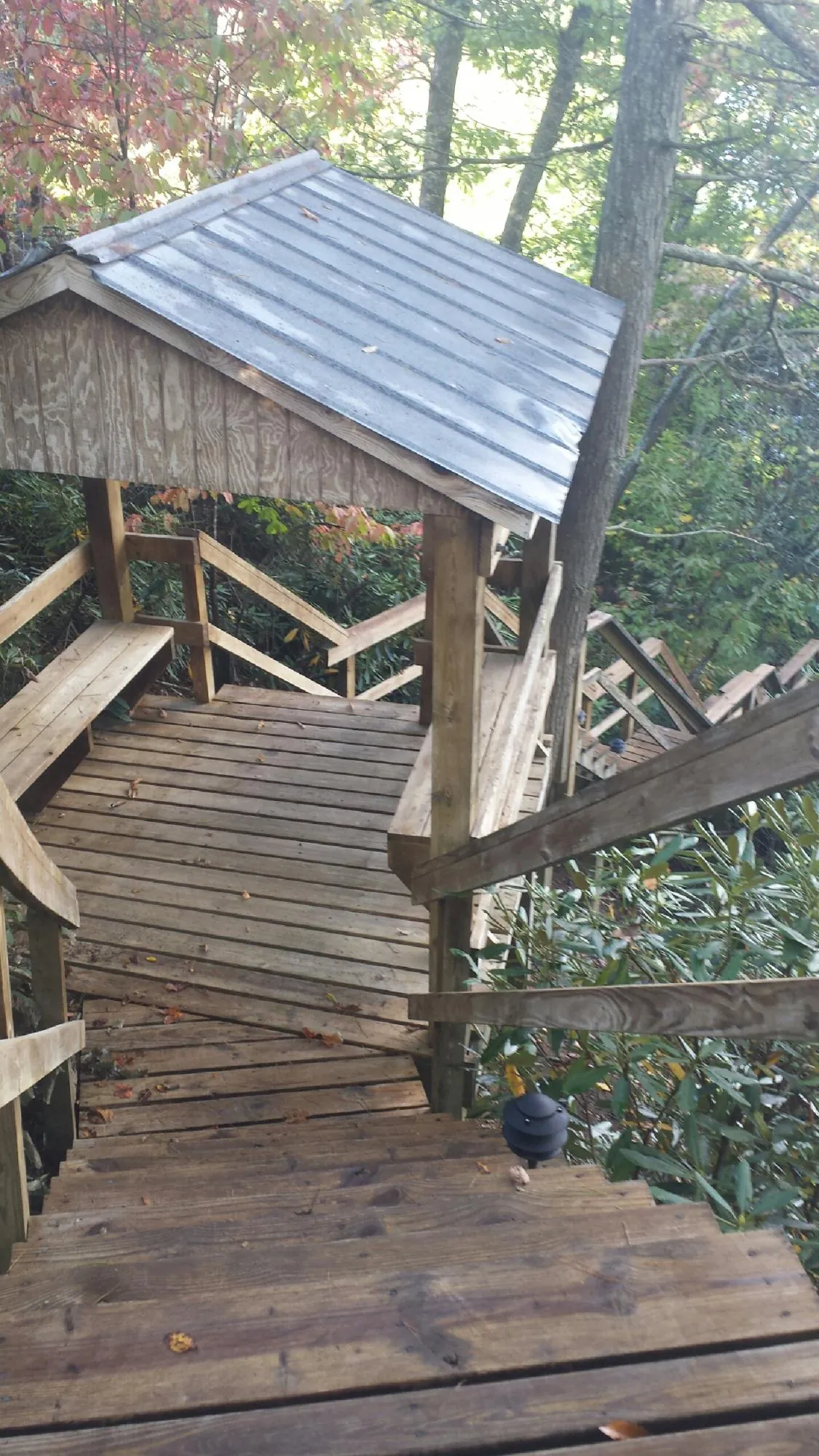 Metal roofed shelter over wooden steps on a wooded walkway — Skylight Repair & Installation work by our crew in Kechi